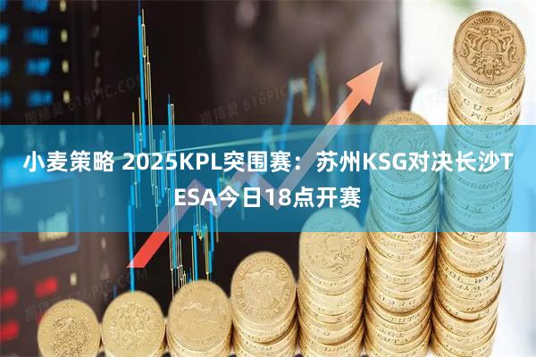 小麦策略 2025KPL突围赛：苏州KSG对决长沙TESA今日18点开赛