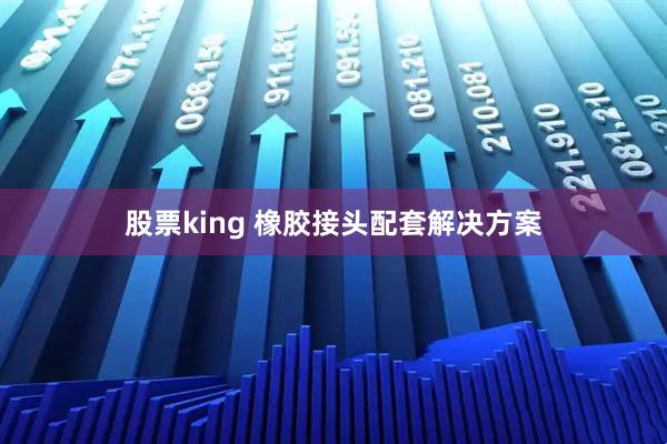股票king 橡胶接头配套解决方案