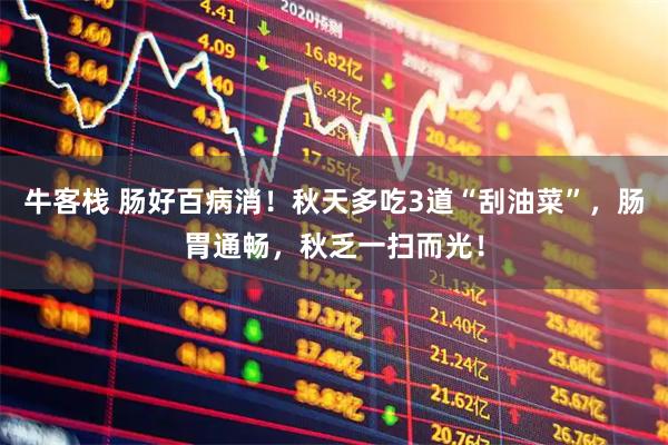 牛客栈 肠好百病消！秋天多吃3道“刮油菜”，肠胃通畅，秋乏一扫而光！