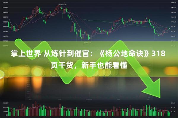 掌上世界 从炼针到催官：《杨公地命诀》318 页干货，新手也能看懂