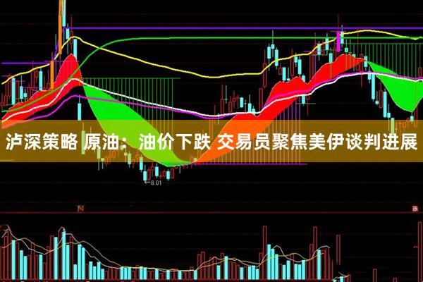 泸深策略 原油：油价下跌 交易员聚焦美伊谈判进展