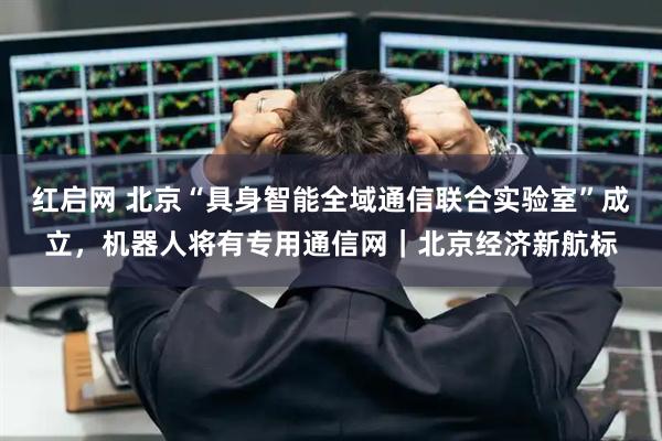 红启网 北京“具身智能全域通信联合实验室”成立，机器人将有专用通信网｜北京经济新航标