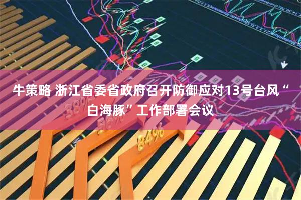 牛策略 浙江省委省政府召开防御应对13号台风“白海豚”工作部署会议